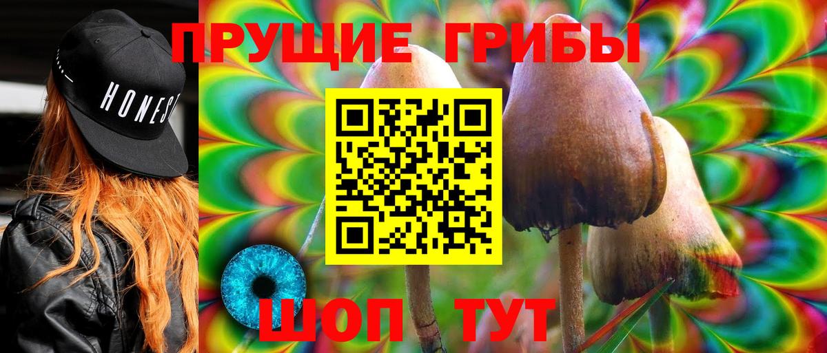 Мурино  Галлюциногенные грибы ЛСД  Галлюциногенные грибы MAGIC MUSHROOMS  Вход с VPN 